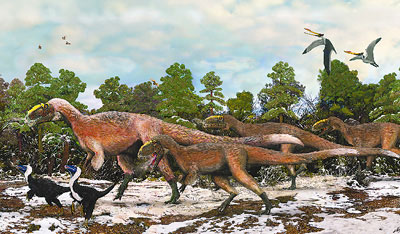 中国发现华丽羽王龙化石 为迄今最大带羽毛恐