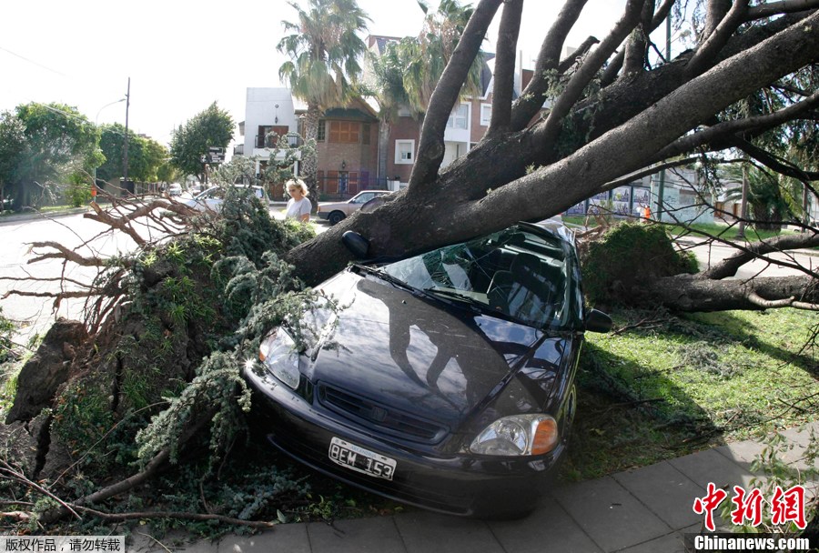 4月5日，阿根廷首都布宜诺斯艾利斯，暴风雨过后被刮倒的大树压在汽车上。4月4日晚，阿根廷首都布宜诺斯艾利斯及附近地区遭暴风雨袭击，造成至少14人死亡、多人受伤。