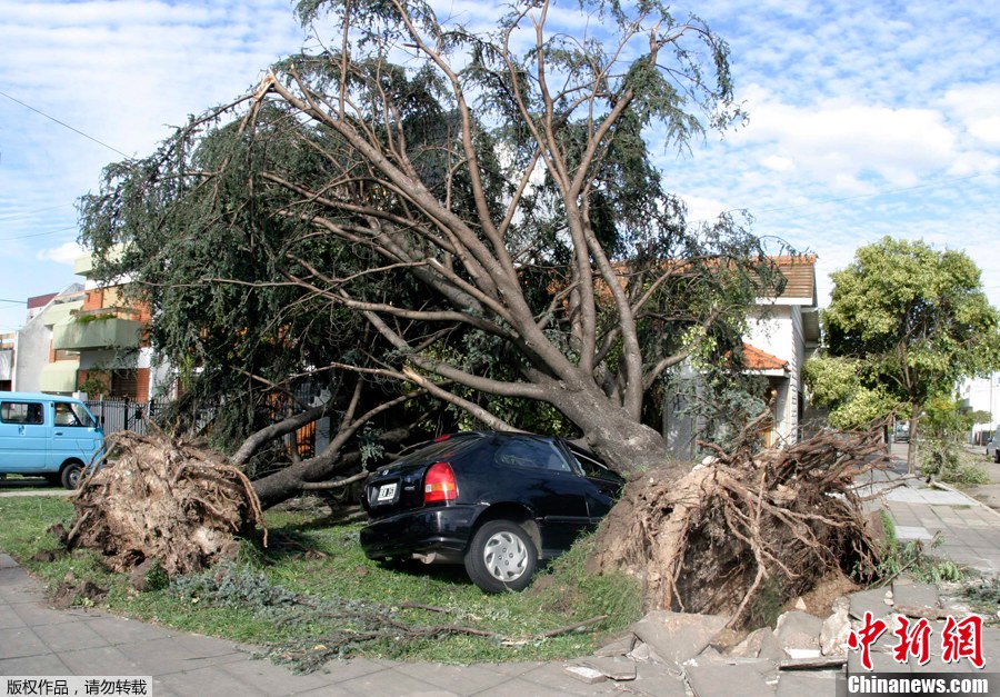 4月5日，阿根廷首都布宜诺斯艾利斯，暴风雨过后被刮倒的大树压在汽车上。4月4日晚，阿根廷首都布宜诺斯艾利斯及附近地区遭暴风雨袭击，造成至少14人死亡、多人受伤。