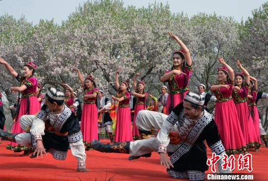 新疆西南部重镇莎车县举办巴旦姆花节(图)