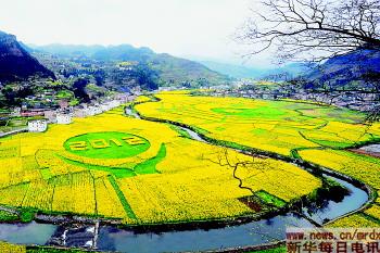 四川古蔺县双沙镇用油菜和小麦套种的方式形成各种图案(4月6日摄).