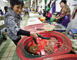 浙江鳗鱼苗每公斤售32万元 捕获量不及去年三