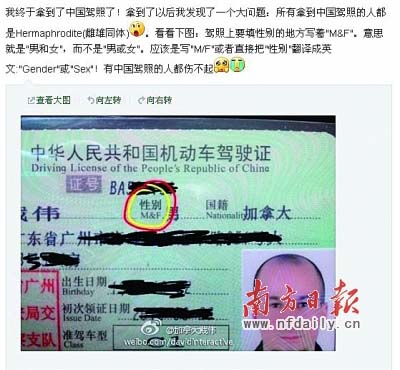 老外给中国驾照翻译挑错误 性别翻译成雌雄同