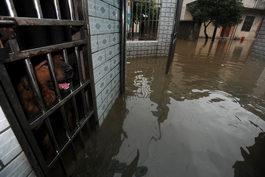 长沙突降暴雨：多家民居被淹 水深齐腰_焦点图_中国广播网