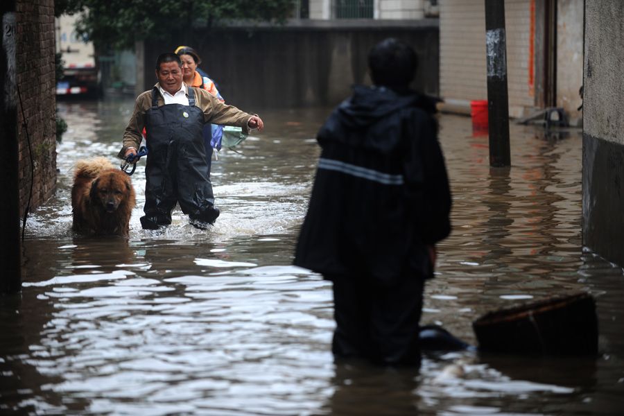 长沙突降暴雨：多家民居被淹 水深齐腰_焦点图_中国广播网