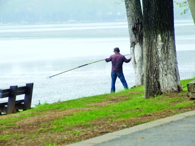 在南京玄武湖边,竟然有多名偷鱼的人,手里拿着鱼叉来捕鱼
