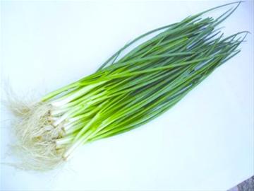 гѡʾ,ڵСзǳ,ؼҳպ,Ǻ