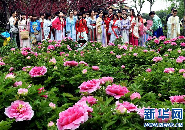 洛阳牡丹花会上演"穿越剧"(组图)