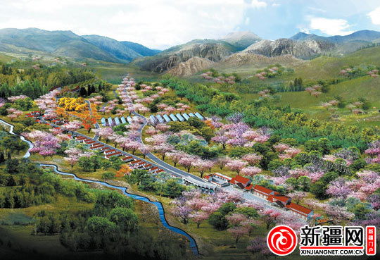 乌鲁木齐县天山村:家家户户栽杏树(图)