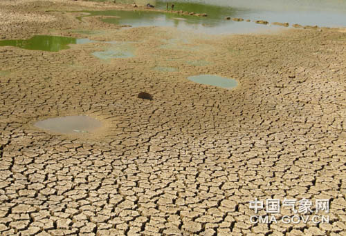 云南文山旱情持续 河水断流坝塘干涸(图)