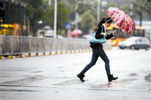 斜风密雨中,步行上班者即使有雨伞也只能遮住上半身.
