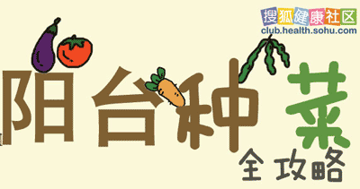 小编教你在阳台上打造自己的纯天然小菜园