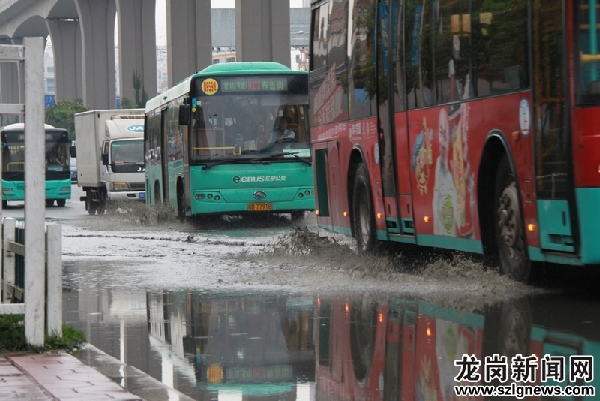 公交车和货柜车"碾过"积水.深圳报业集团特派记者 郑创彬 摄影报道