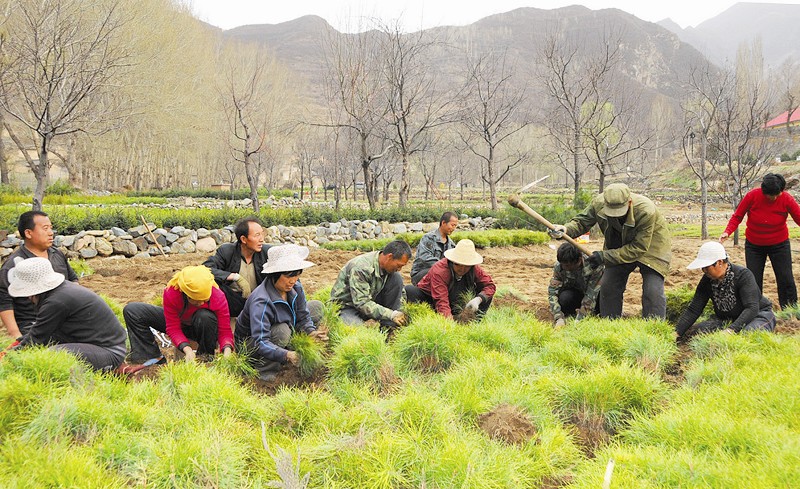 代县富村人口_代县南口村地图