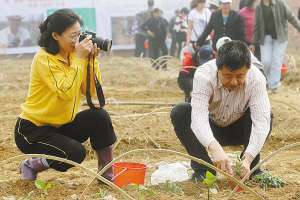 都市农夫开心种菜(组图)