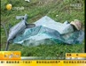 江苏沿江高速常熟段发生重大交通事故13人死亡