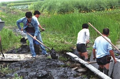 见习村主任左一正在和工人一道修挖水渠.通讯员顾志庆摄