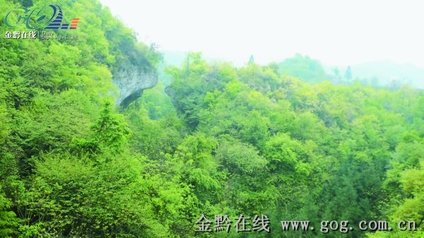 将生态旅游引入毕节地区,并使其成为毕节地区发展的重要支柱产业.