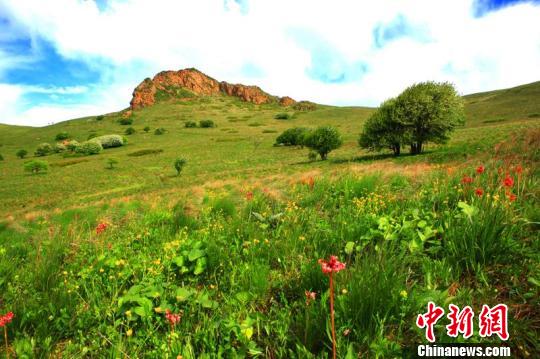 中新网承德4月25日电(张帆)近日,承德《学者自否"契丹族发祥地在平泉