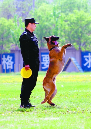 警犬比赛看谁咬得稳准狠(图)