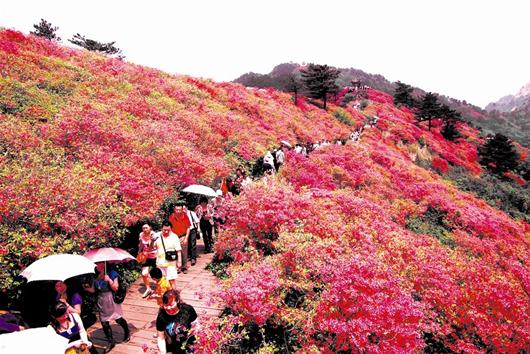 湖北讯 图为:麻城杨遥(左三),蔡绪安(右二)在龟峰山