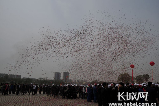 唐山八景之一的滦南县北河公园今日开园啦(