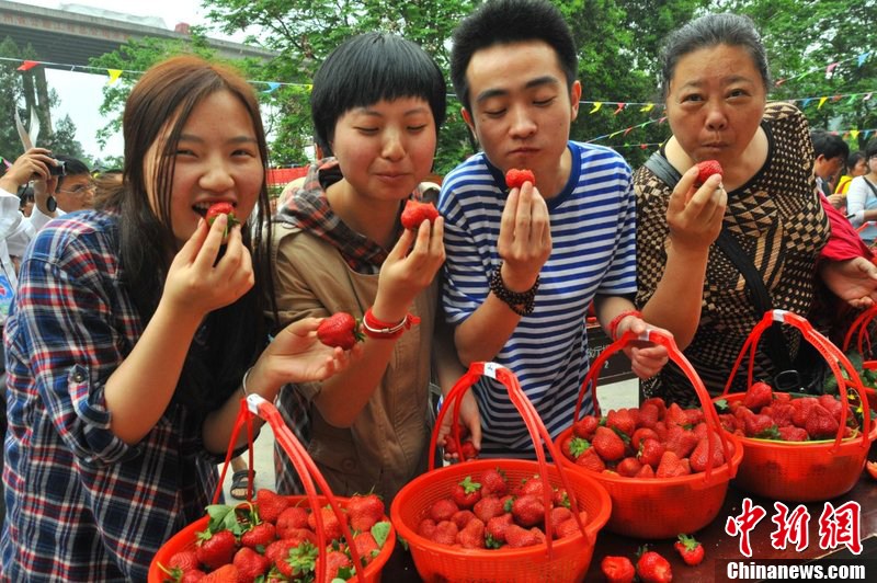 贵州举行吃草莓比赛 选手胡吃海塞比拼实力(组
