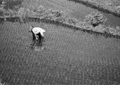 人口倒挂_人口倒挂是指流动人口数量超过本地居民的现象 近七年来,上海市某