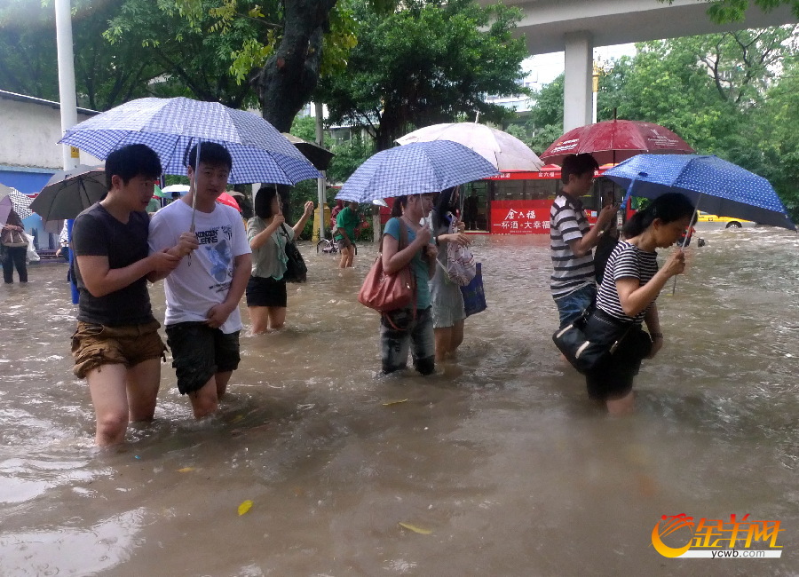 广州降暴雨 羊城变水城(组图)