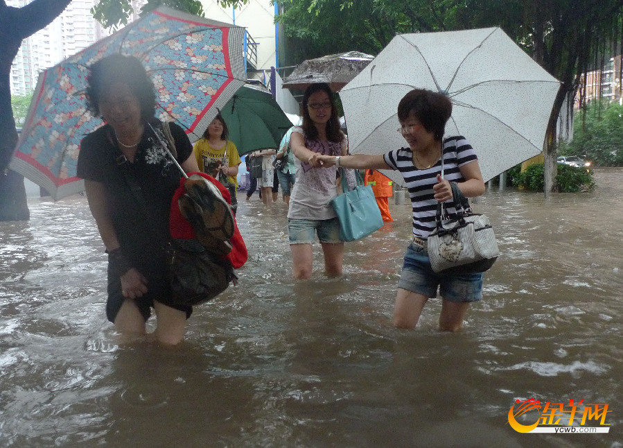 广州降暴雨 羊城变水城(组图)