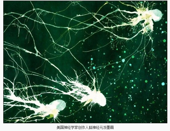 美国神经学家创作人脑神经元泼墨画(图)