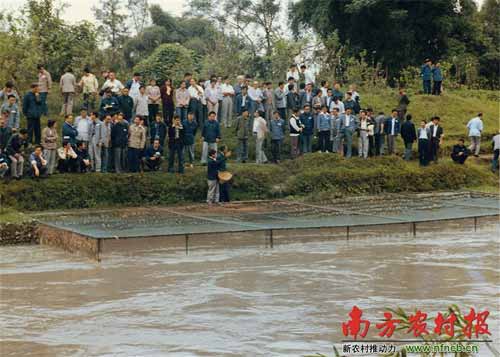 1984年10月25日眉山县水电局和县科委联合对刘汉元发明的网箱养鱼进行验收