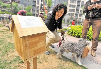 小区倡导文明养宠物狗