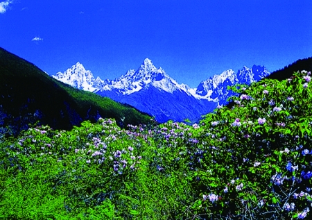 康定情歌景区