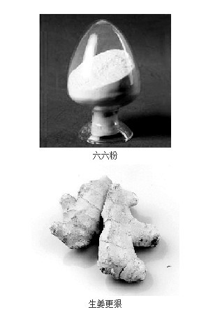 用六六粉和敌敌畏保鲜