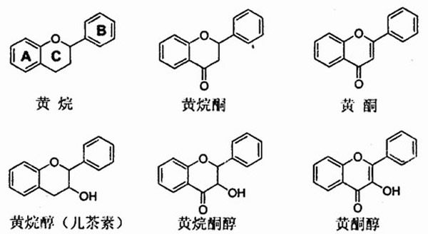 部分的类黄酮分子结构