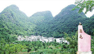 崇左市及天等县的高度重视石漠化综合治理工作,常现场.