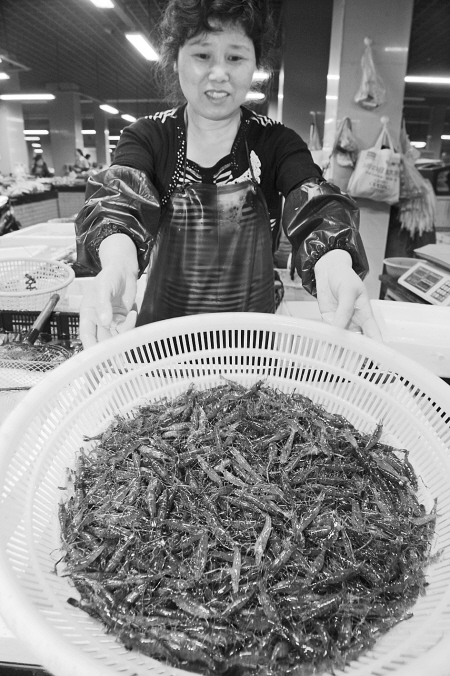 天气转热供应量大增 便宜河虾还能吃一个多月