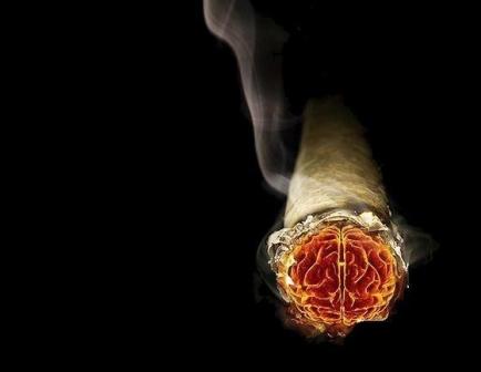 专家称三手烟也可能致癌 需提防烟草残留物(