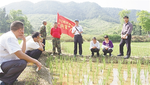 梁平蟠龙镇有多少人口_梁平蟠龙镇海尔