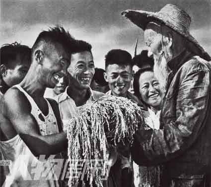 1958年，湖北孝感县号称亩产早稻2万斤的试验成功