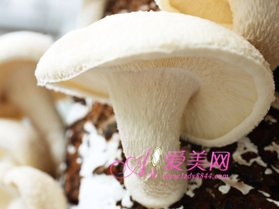 Img343712559.jpg