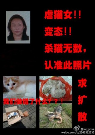 网曝"虐猫女"犯众怒 前往派出所请求保护(图)(1)_社会