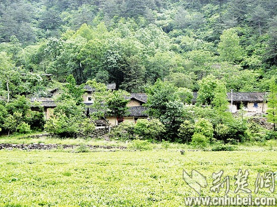 夏姓有多少人口_全国人口普查进入倒计时,山西省统计局相关负责人解答热点问