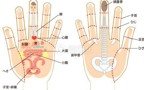 手指瑜伽，激活全身活化性的理由