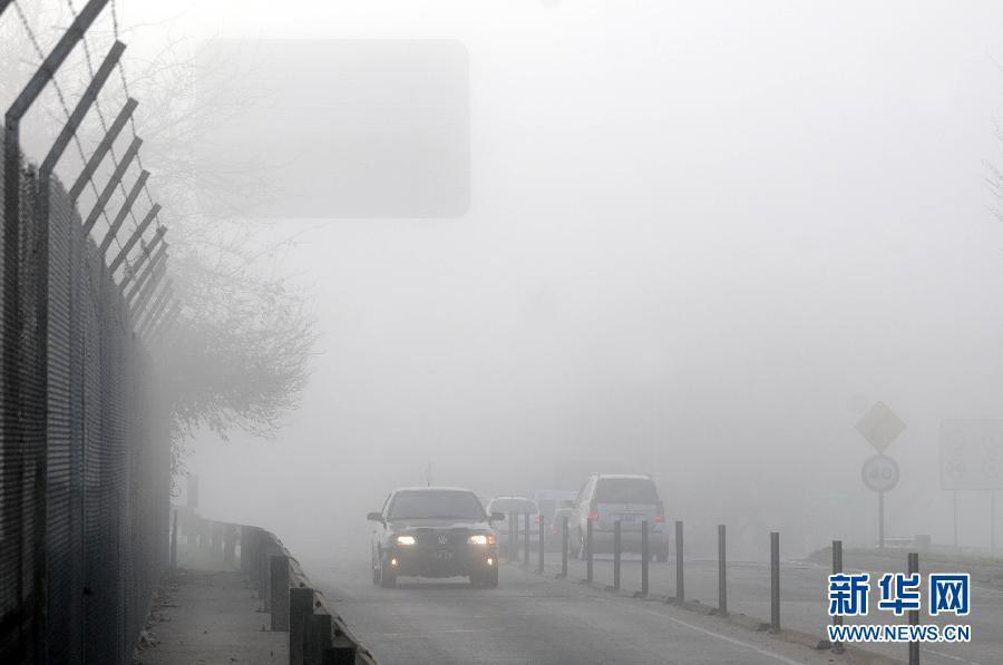 大雾笼罩阿根廷首都 城市交通陷入瘫痪(组图)