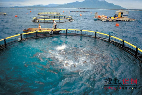冯会明:深水网箱养鱼,中国渔业新思路-促销频道