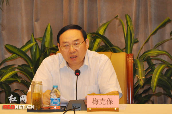湖南省党代表会议6月举行 各筹备组汇报工作情况