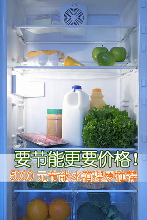 这一款海信BCD-262VBP/AX三门冰箱，独特的健康“钛立方”杀菌除味技术，同时生态光鲜技术保证食物的新鲜水分。一级的能效等级有！目前的价格也仅为4199元！
