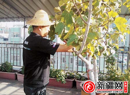 5月31日,杜新元在自家